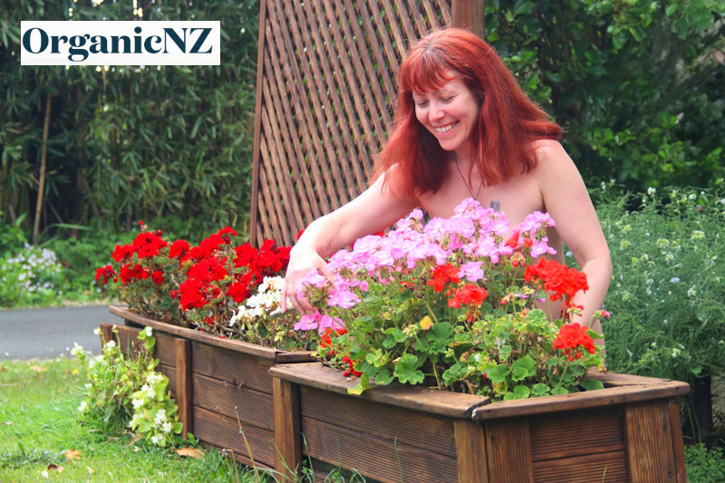 Alice de Wet flowers